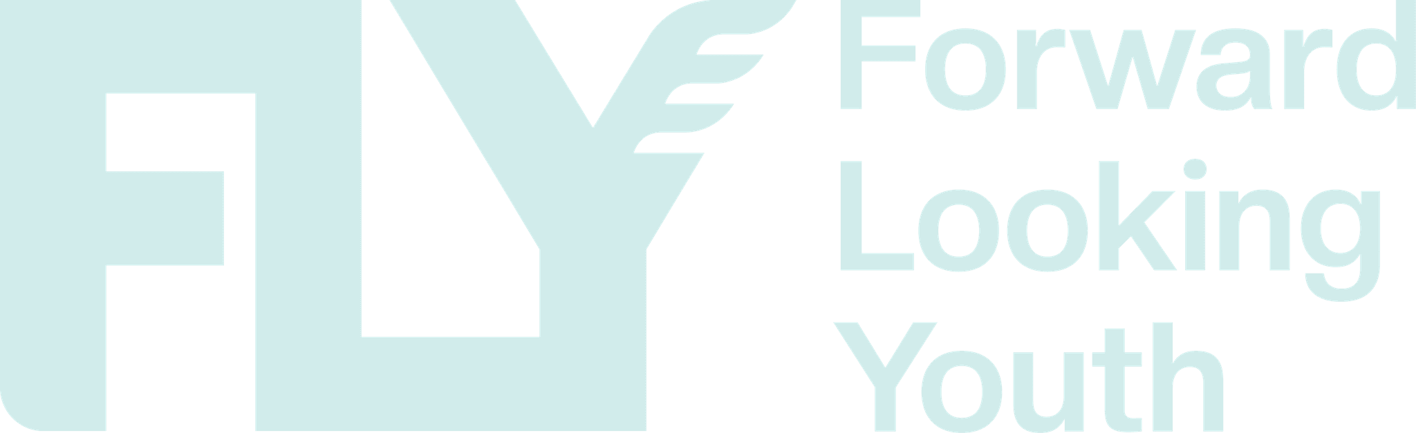 Fly Network Logo